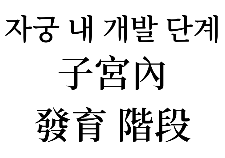 Intrauterine stage of development